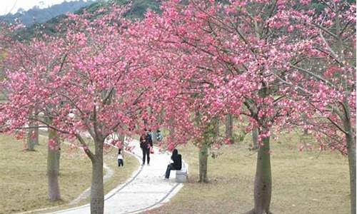 _风云岭森林公园 概况